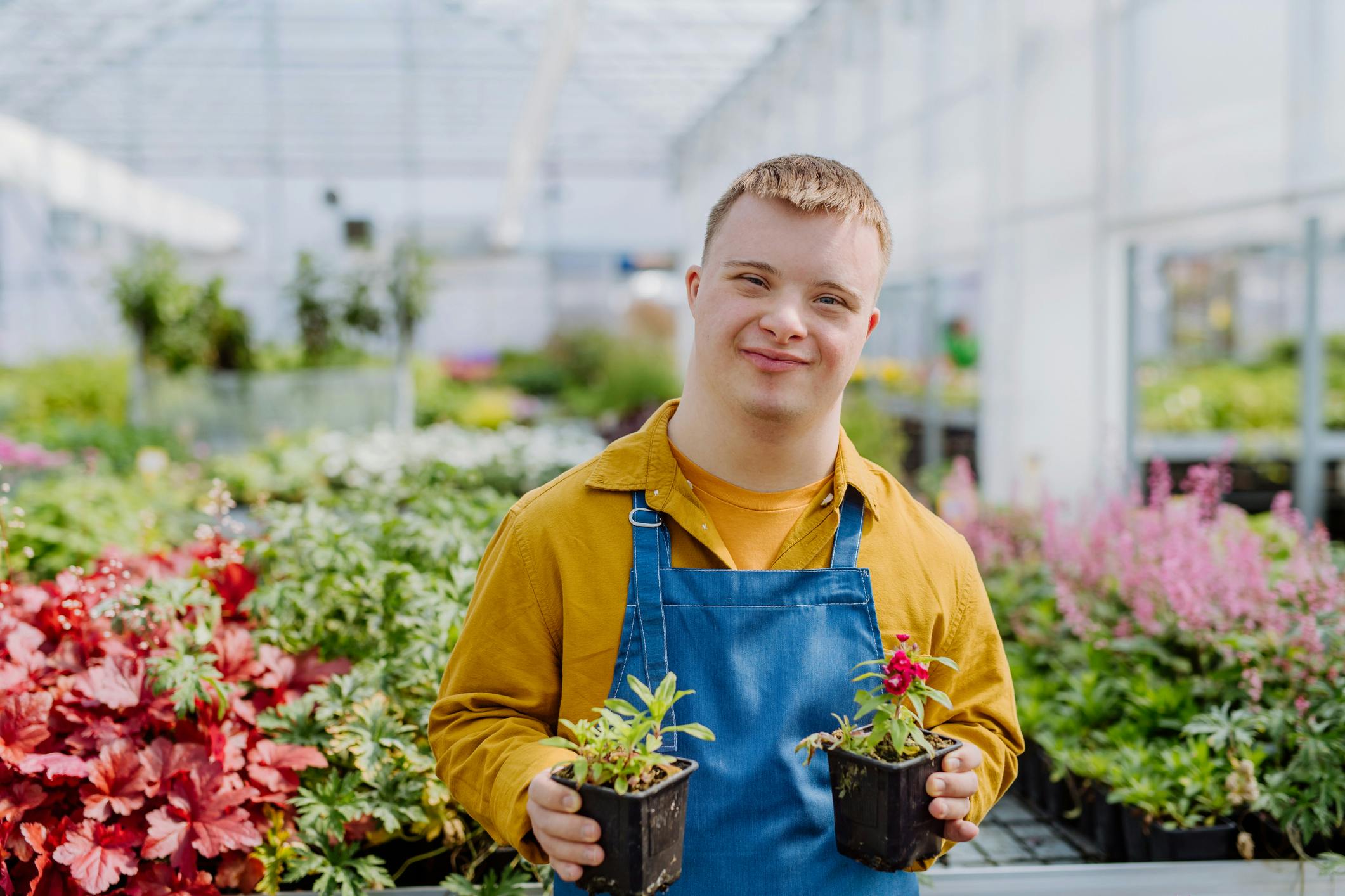 Image of a young male working in an outdoor nursery. He is wearing a bright yellow shirt with a blue apron. He is holding two small pot plants and is surrounded by brightly coloured plants.